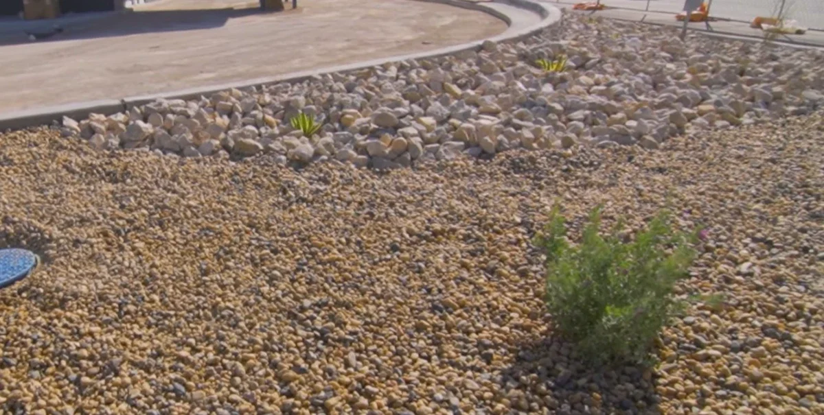 Landscaping las cruces nm finished commercial gravel bed with new desert plantings