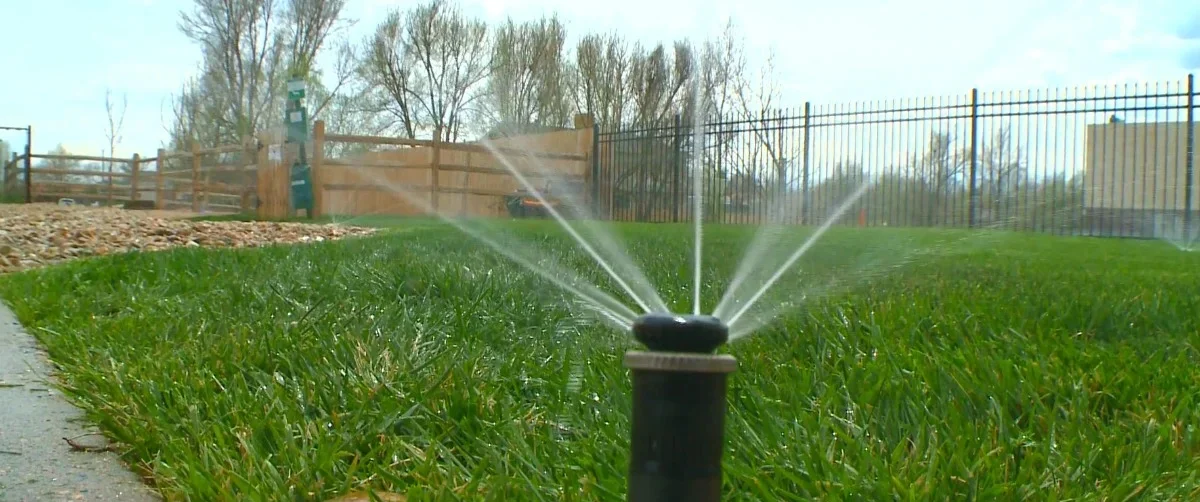 Irrigation las cruces nm pop-up sprinkler head spraying a turf lawn