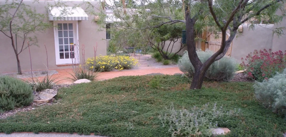 Landscaping in las cruces nm xeriscape front yard at an adobe-style home